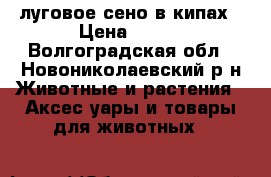 луговое сено в кипах › Цена ­ 120 - Волгоградская обл., Новониколаевский р-н Животные и растения » Аксесcуары и товары для животных   
